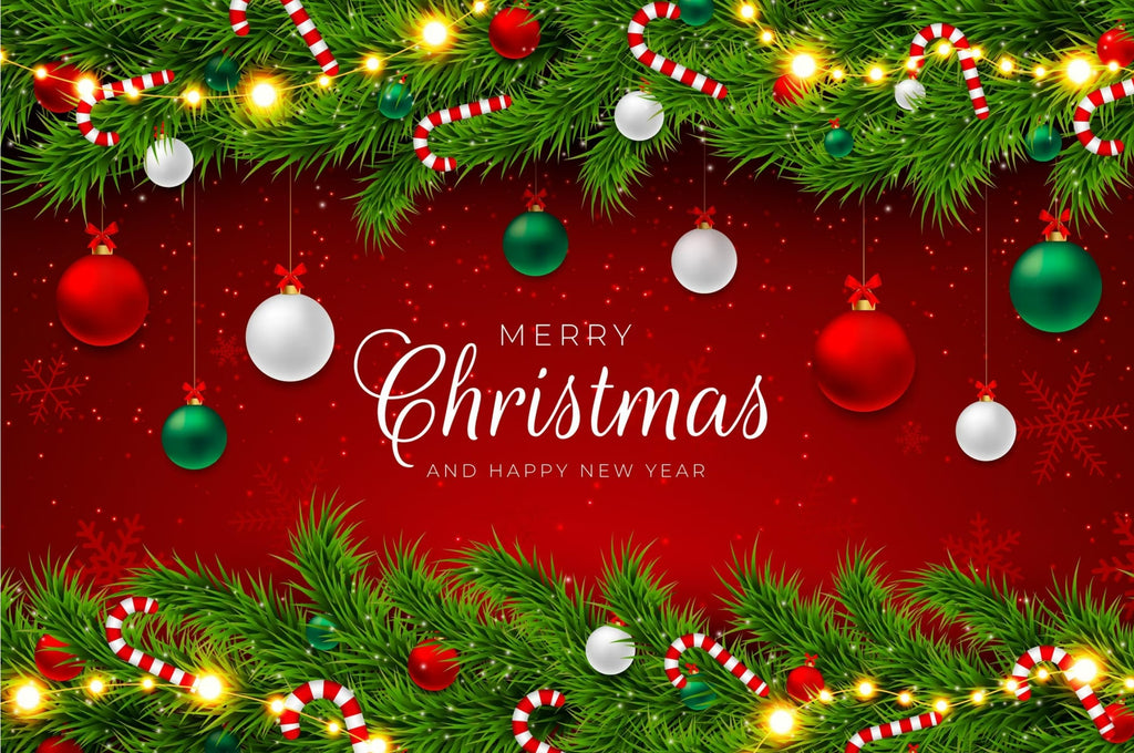 Wish You a Merry Christmas and Happy New Year !