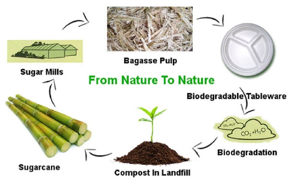 “From Nature to Nature”
