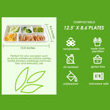 5 Compartment Compostable Tray 500pcs/case